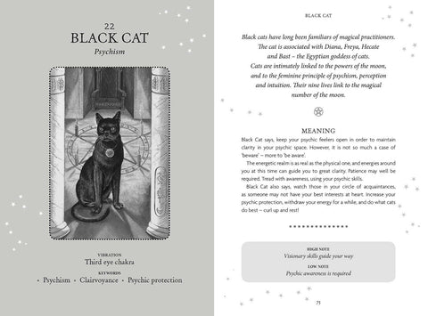 Welbeck Publishing: The Witches Oracle kortos - HOBI.LT 🇱🇹