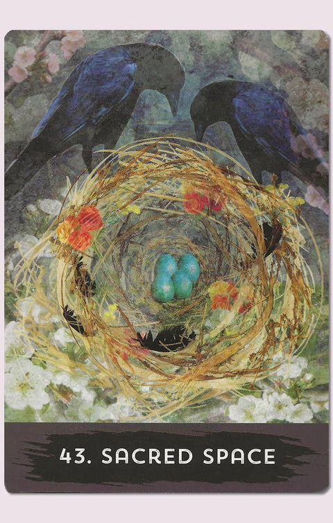 Hay House: Urban Crow Oracle kortos Hay House - HOBI.LT 🇱🇹