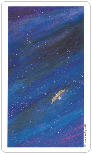 AGM: Vision Quest Tarot kortos - HOBI.LT 🇱🇹