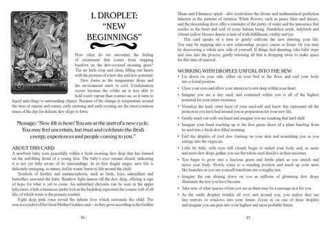 Findhorn Press: Water Alchemy Oracle kortos Findhorn Press - HOBI.LT 🇱🇹