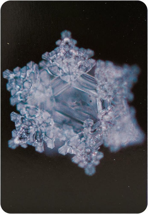 Beyond Words: Water Crystal Oracle kortos - HOBI.LT 🇱🇹