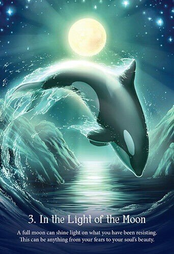 Blue Angel: Whispers of The Ocean Oracle Kortos - HOBI.LT 🇱🇹