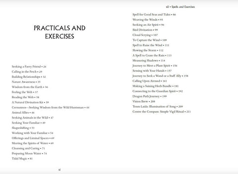 Knyga: praktikos ir pratimų turinys, matomi skyrių pavadinimai bei puslapių numeriai, leidžiantys įvertinti temų apimtį