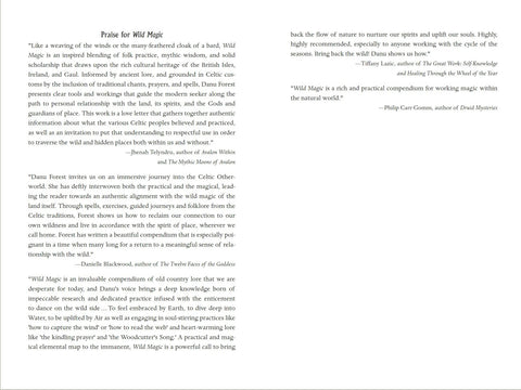 Knyga Wild Magic atversta dviejų puslapių peržiūra su kritikų pagyrimais, citatomis ir tipografiniu išdėstymu