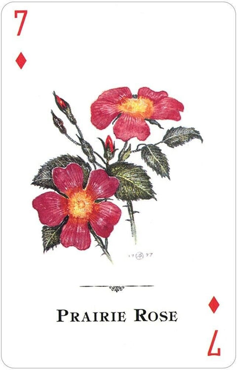 US Games Systems: Wildflowers Of The Natural World žaidimų kortos - HOBI.LT 🇱🇹