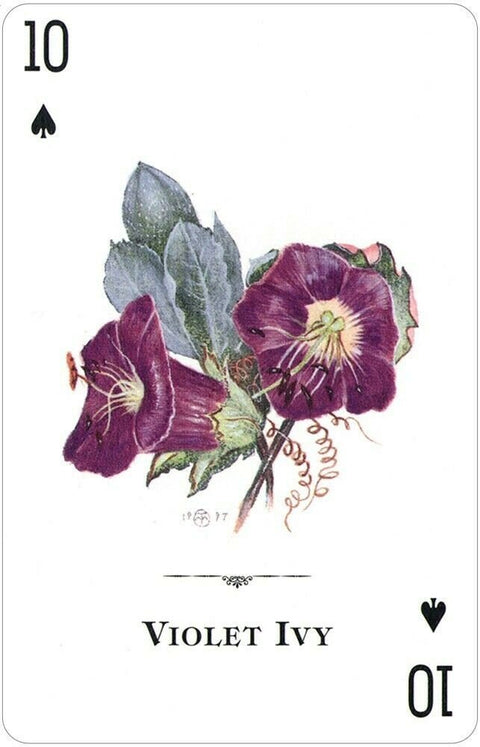 US Games Systems: Wildflowers Of The Natural World žaidimų kortos - HOBI.LT 🇱🇹