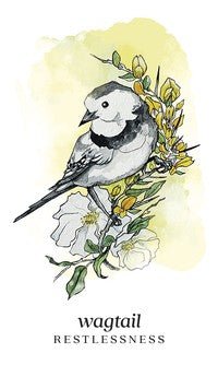 kvepalai Wagtail – minimalistinė akvarelinė zylės iliustracija su geltonais akcentais ir užrašu Restlessness