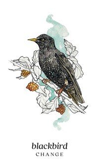 Plakatas Blackbird su juoduoju strazdu ant šakos, detaliomis baltais žiedais ir mėtiniais akvarelės potėpiais