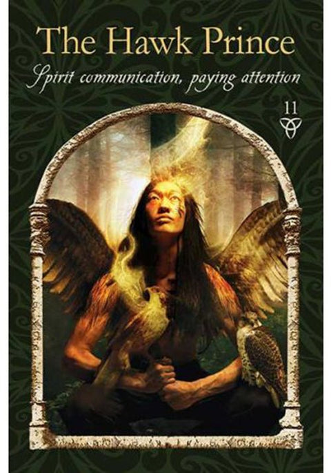 Hay House: Wisdom of the Hidden Realms Oracle kortos Hay House - HOBI.LT 🇱🇹