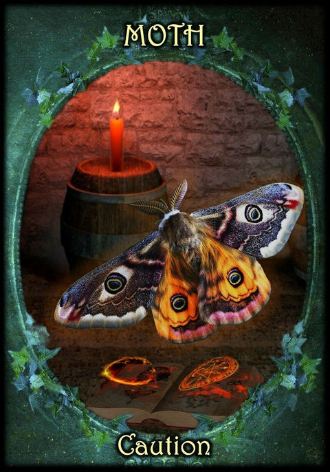 Solarus: Witches Familiars Oracle Kortos Solarus - HOBI.LT 🇱🇹