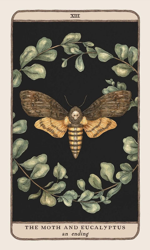Tarot korta Moth and Eucalyptus — ruda ir gelsva šilkė su plačiais sparnais ant juodo fono, eukalipto vainikas ir užrašas „an ending“