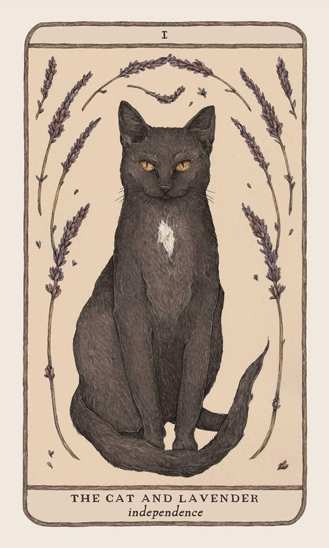 Plakatas The Cat and Lavender: juodo katino su baltu krūtinės lopu ir levandų rėmu, 30×45 cm, matinis meno printas