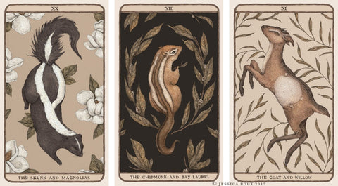 Andrews Mcmeel Publishing: Woodland Wardens Oracle kortos Andrews Mcmeel Publishing - HOBI.LT 🇱🇹
