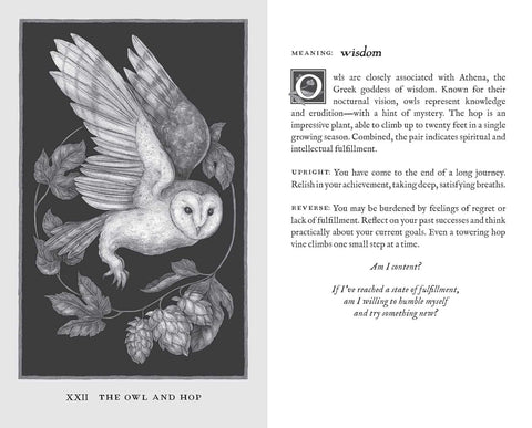 Andrews Mcmeel Publishing: Woodland Wardens Oracle kortos Andrews Mcmeel Publishing - HOBI.LT 🇱🇹