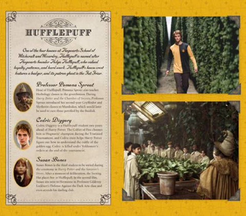 Hufflepuff plakatas geltona–juoda, su namų aprašymu, narių portretais ir trijų scenų koliažu