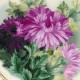 Plate with Chrysanthemums. Satin Stitch siuvinėjimo rinkinys iš RIOLIS Nr.: 0076 PT