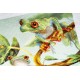 Frogs siuvinėjimo rinkinys iš RIOLIS Nr.: 0083 PT