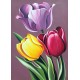 Deimantinis paveikslas Tulip Aroma WD021 27*38 cm