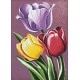 Deimantinis paveikslas Tulip Aroma WD021 27*38 cm