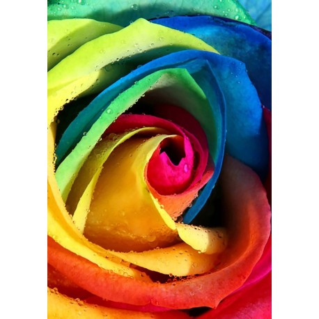 Deimantinis paveikslas Rainbow Rose WD023 20*30 cm