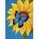 Deimantinis paveikslas Butterfly and Sunflower WD031