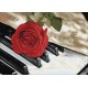Diamond painting kit Rose Music WD053