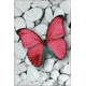 Deimantinis paveikslas Pink Butterfly WD054 20*30 cm