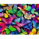 Deimantinis paveikslas Rainbow Butterflies WD057 48*38 cm