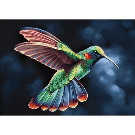 Diamond painting kit Tropic Bird WD058