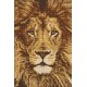 Deimantinis paveikslas Lion WD068 20*30 cm
