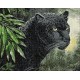 Deimantinis paveikslas Panther WD072 48*38 cm