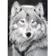 Deimantinis paveikslas Grey Wolf WD086 27*38 cm