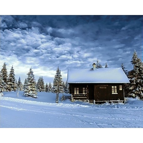 Deimantinis paveikslas Valley of Snow WD106 48*38 cm