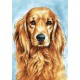 Diamond painting kit Faithful Dog WD180