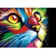 Deimantinis paveikslas Rainbow Cat WD200 38*27 cm