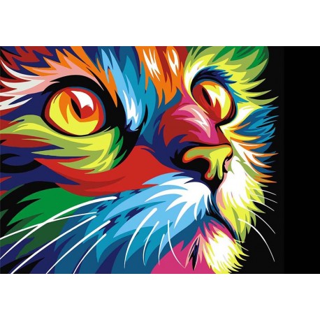 Deimantinis paveikslas Rainbow Cat WD200 38*27 cm