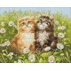 Deimantinis paveikslas Summer Kittens WD209 48*38 cm