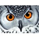 Deimantinis paveikslas Owl's Look WD243 38*27 cm
