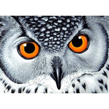 Deimantinis paveikslas Owl's Look WD243 38*27 cm