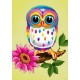 Deimantinis paveikslas Owl Maia WD248 20*30 cm