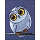 Deimantinis paveikslas Owlet WD278 15*20 cm
