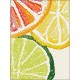 Deimantinis paveikslas Citrus Fresh WD281 15*20 cm