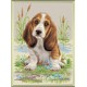 Basset Hound Puppy Deimantinės Mozaikos rinkinys iš RIOLIS Nr.: AM0005