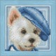Diamond Painting Kit Dog with Hat AZ-1570 15_15cm