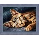 Deimantinis paveikslas Cat Barsik AZ-1700 40x30cm