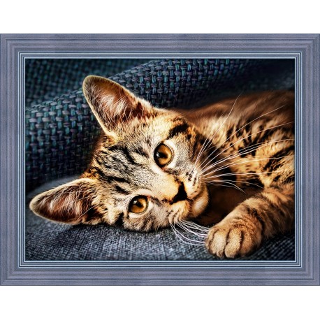 Diamond Painting Kit Cat Barsik AZ-1700 40x30cm