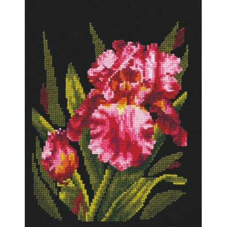 Velvet Iris SANB-15 - Cross Stitch Kit by Andriana