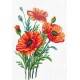 Poppy Flowers SANM-34 - Cross Stitch Kit by Andriana