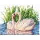 Pair Of Swans SANP-39 - Cross Stitch Kit by Andriana
