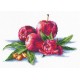 Apples And Hazelnut SANYA-03 - Cross Stitch Kit by Andriana
